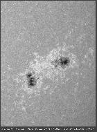 AR 2403 Calcium du 25 Aout