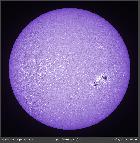 Disque calcium du 25 Aout