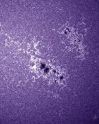 AR1967-AR1968 Calcium