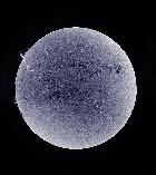 SOLEIL H-ALPHA 15/05/15