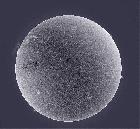 SOLEIL EN H-ALPHA LUNETTE CORONADO 60MM DOUBLE FILTRATION DU 01/07/15