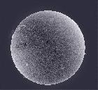 SOLEIL EN H-ALPHA LUNETTE CORONADO 60MM DOUBLE FILTRATION DU 01/07/15