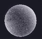 SOLEIL EN H-ALPHA LUNETTE CORONADO 60MM DOUBLE FILTRATION DU 01/07/15