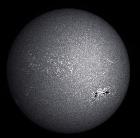 SUN CALCIUM WITH LUNT 60MM CaK AND DMK41