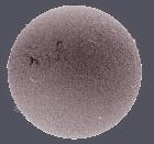 SUN H-ALPHA CORONADO SOLARMAX II 60MM WITH DMK41 13/03/16