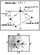 trap&egrave;ze du 13 - 01 - 09
