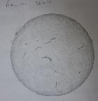 soleil Halpha le 6 mars 2014