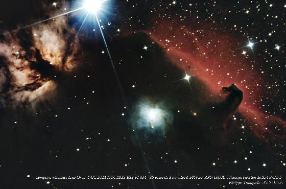 La Tête de Cheval B33