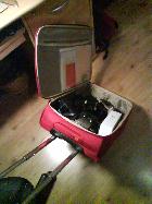 Valise, roule monture !