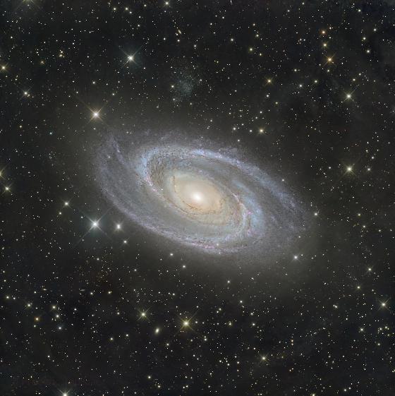 m81