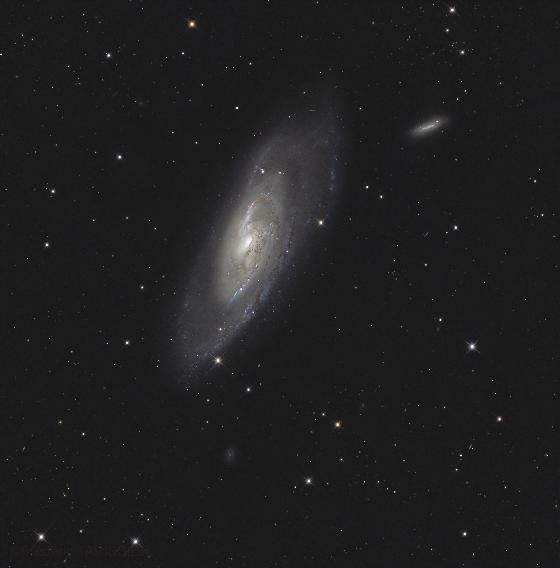 Newton Sérurier 540 F 4 Carbonne