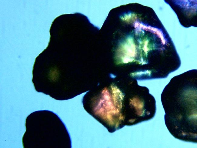 Grains de sable de la Panne en lumière polarisée 