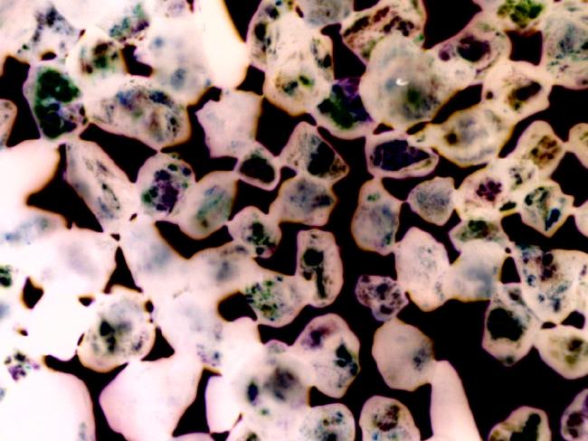 GRAINS DE SABLE POLARISATION INVERSEE 