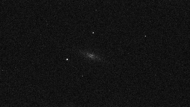 brute-M102-T300-mono-100%