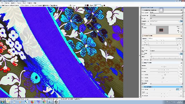 QHY294C-SharpCap-RAW8