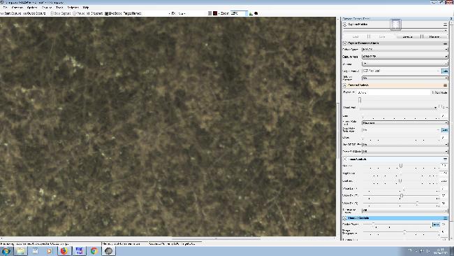 Green dots QHY294C-125%