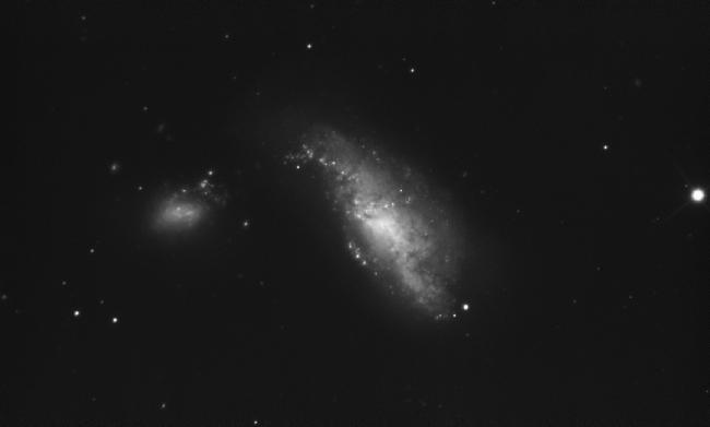 NGC4490-T300-luminance
