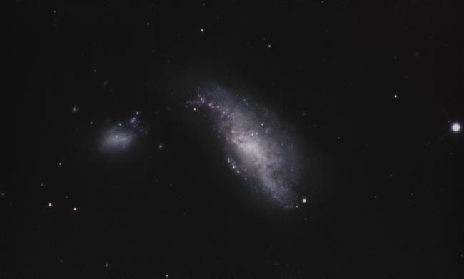 NGC4490-T300-colorisée