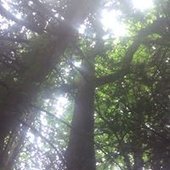 Jeanmy Christian Fecelier