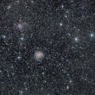 spica83
