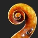 Cello75