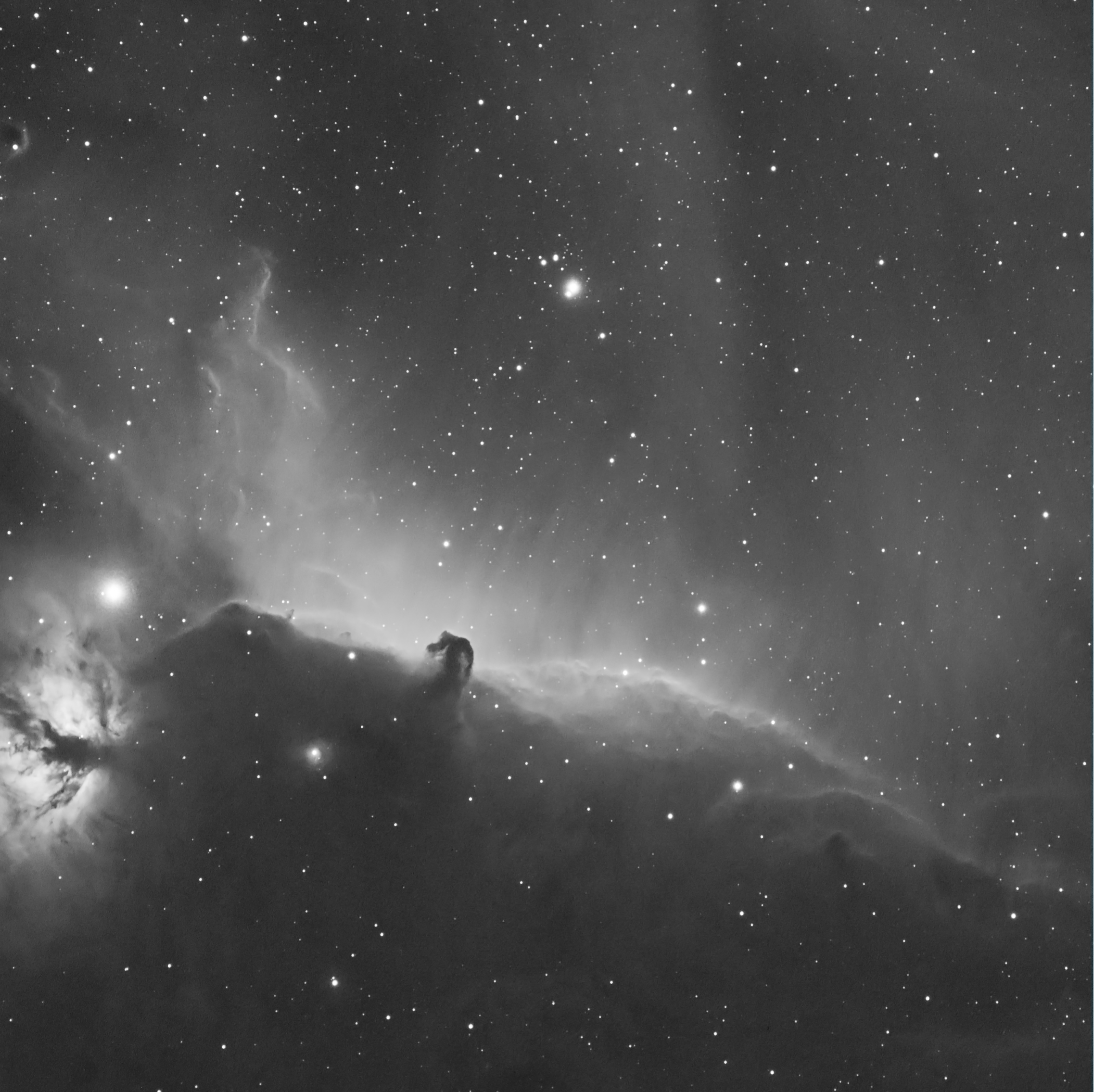 IC434%20fin.jpg?dl=1