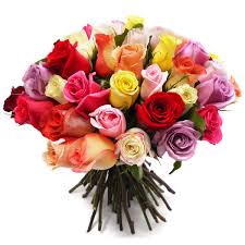 images?q=tbn:ANd9GcSreTThixWoLXgJAi8ySoJfnQoBut3sYlULffQjw-ngKsghQXgMPg