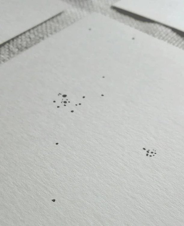 48939662_1152887691535876_25698537383657