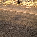 DuneTacheeSol791_coulbrowse.JPG