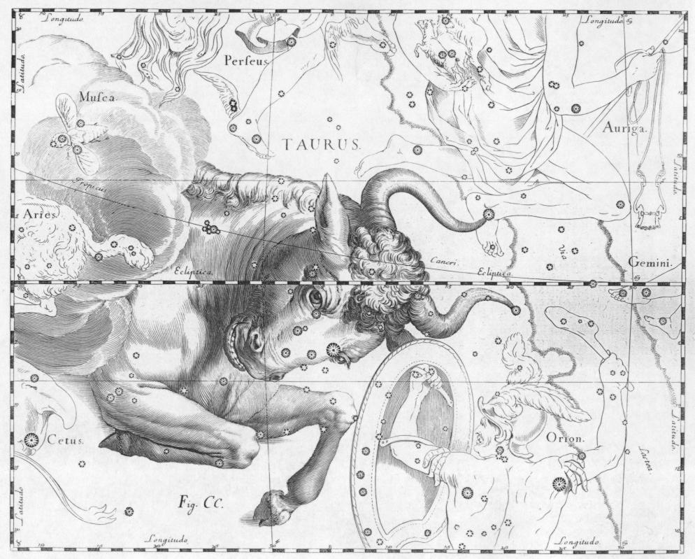 Taurus_by_Johannes_Hevelius.JPG