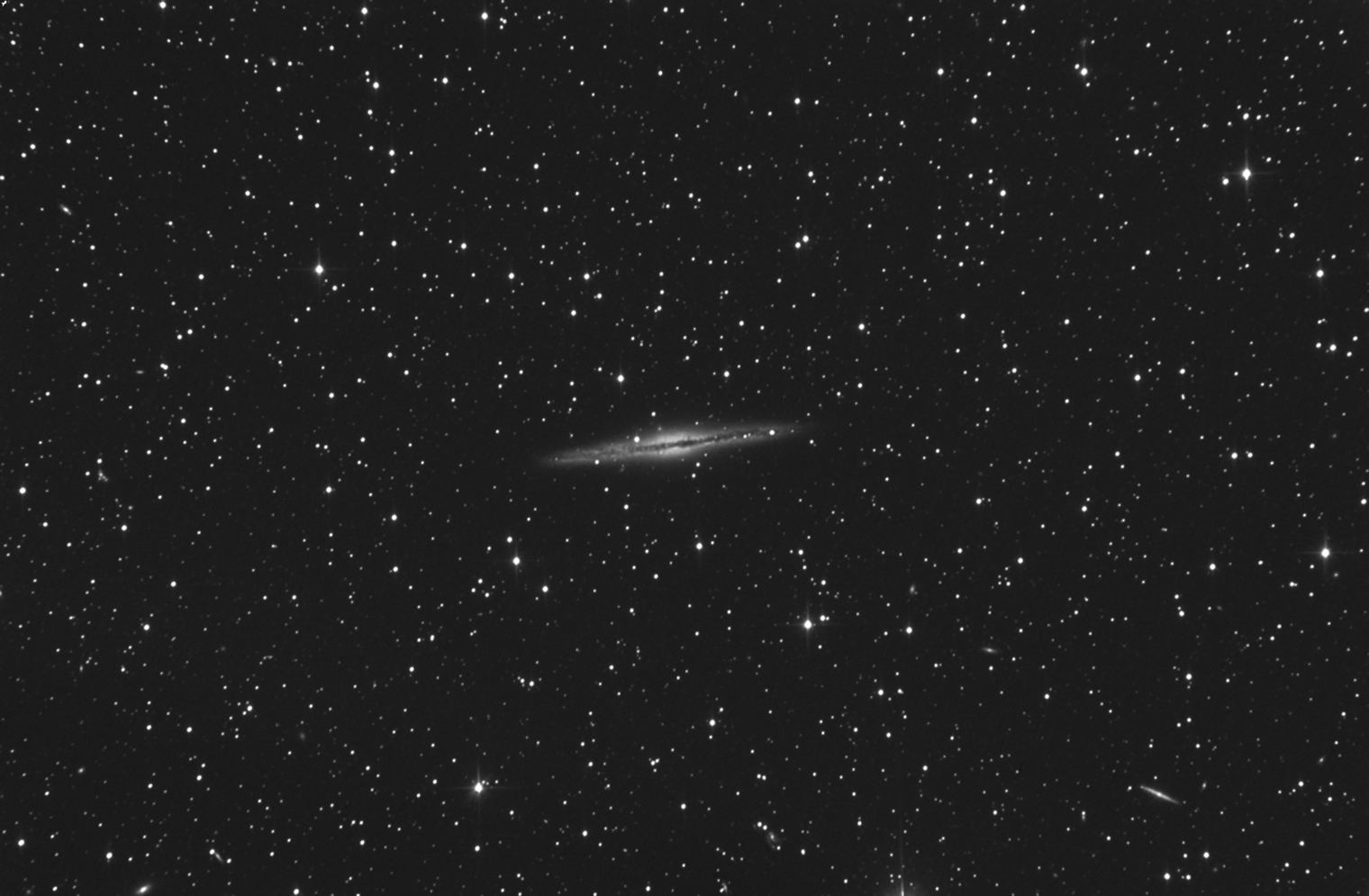 111461ngc89122x315.jpg