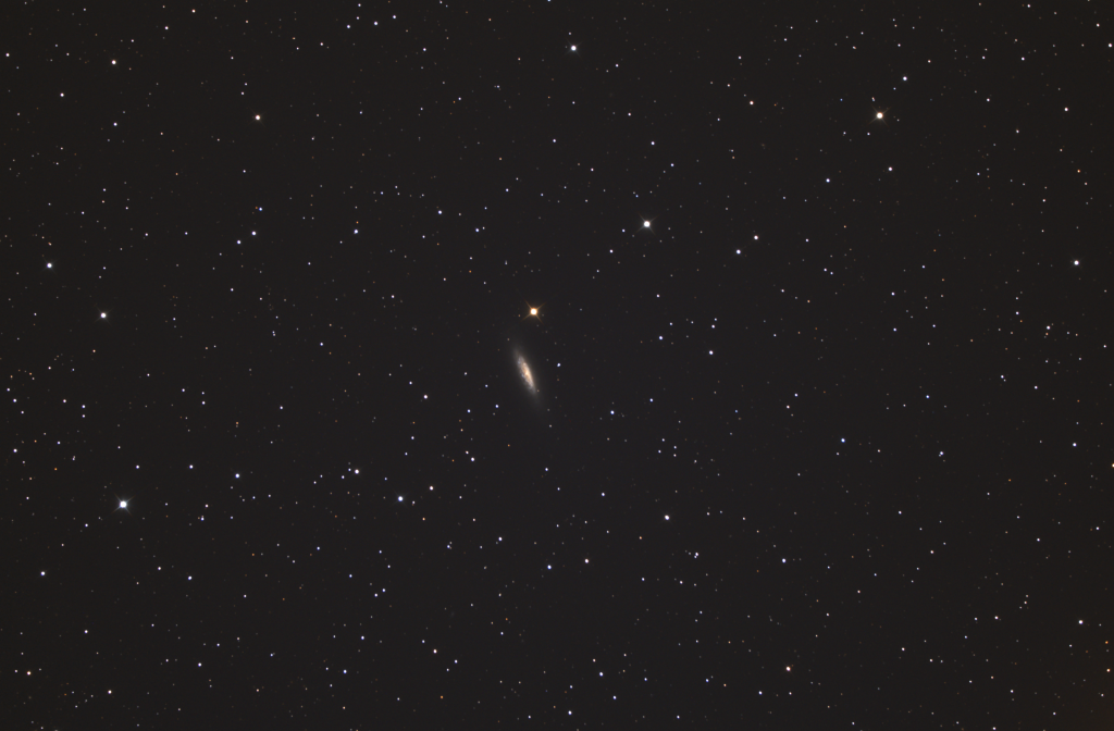 122037NGC6503pc.png