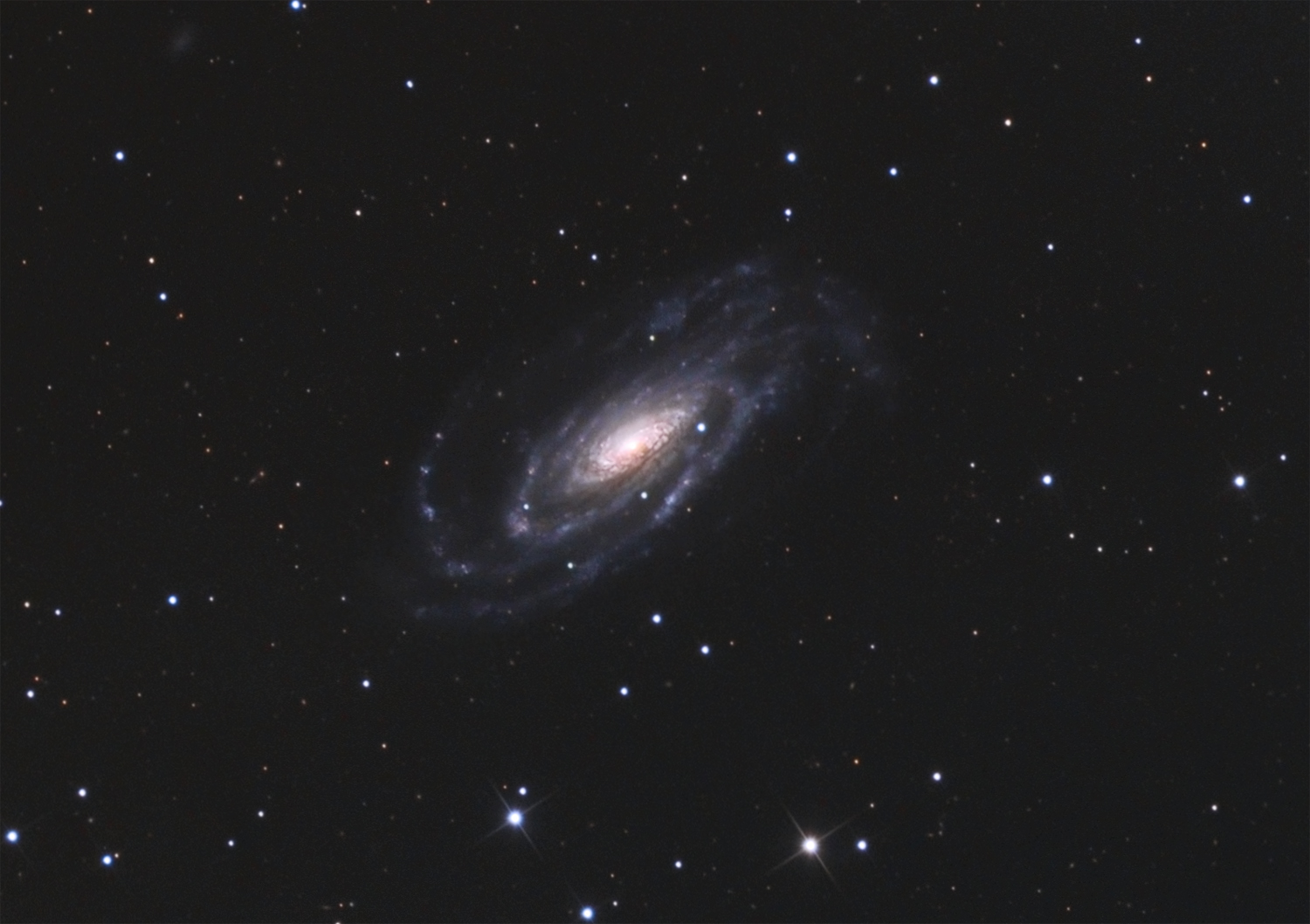 123497NGC5033webcrop1500pix.jpg