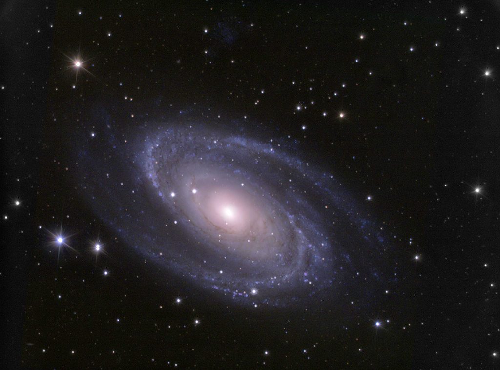 125834m81couleur2s.jpg