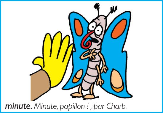1309920-Minute_papillon__par_Charb.jpg