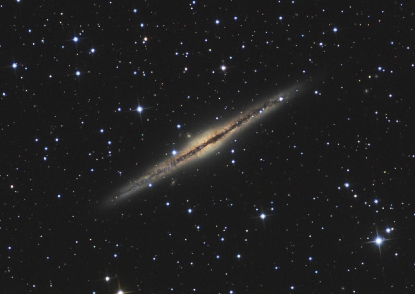 141277NGC891webcrop.jpg