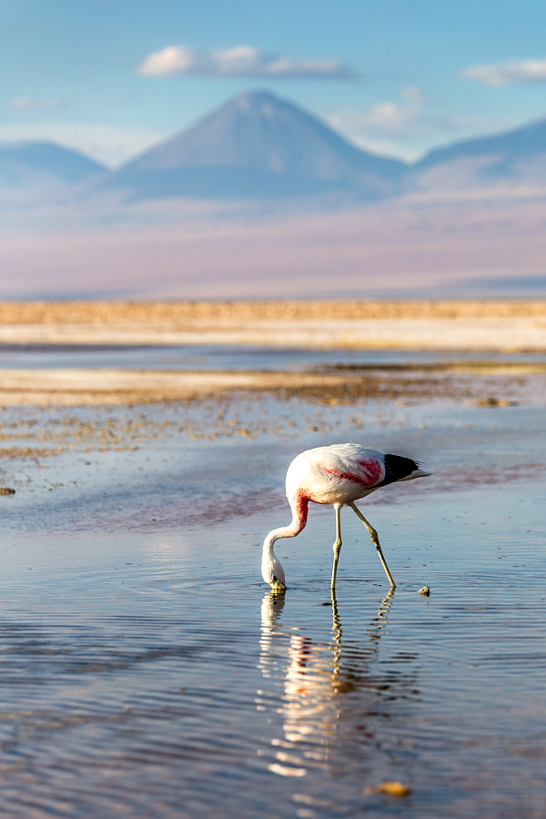 4b33c0993d6e3fd0f8abe7010355c85d