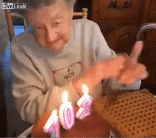cake lady GIF