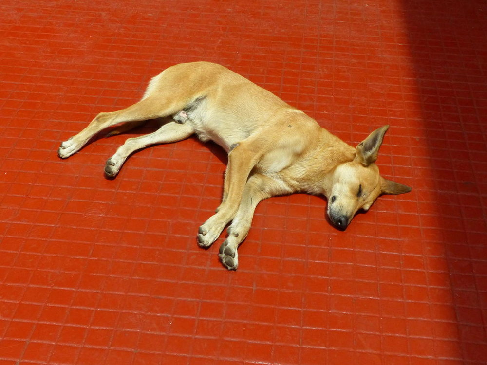 20181025_de_l_hacienda_a_Coquimbo_La_Ser