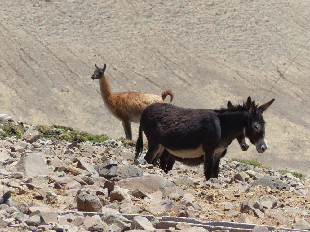 20181027_Copiapo_La_Silla_vers_Reserve_d