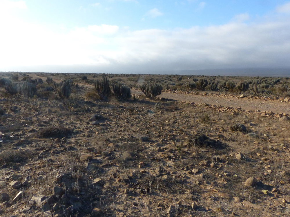 20181027_Copiapo_La_Silla_vers_Reserve_d