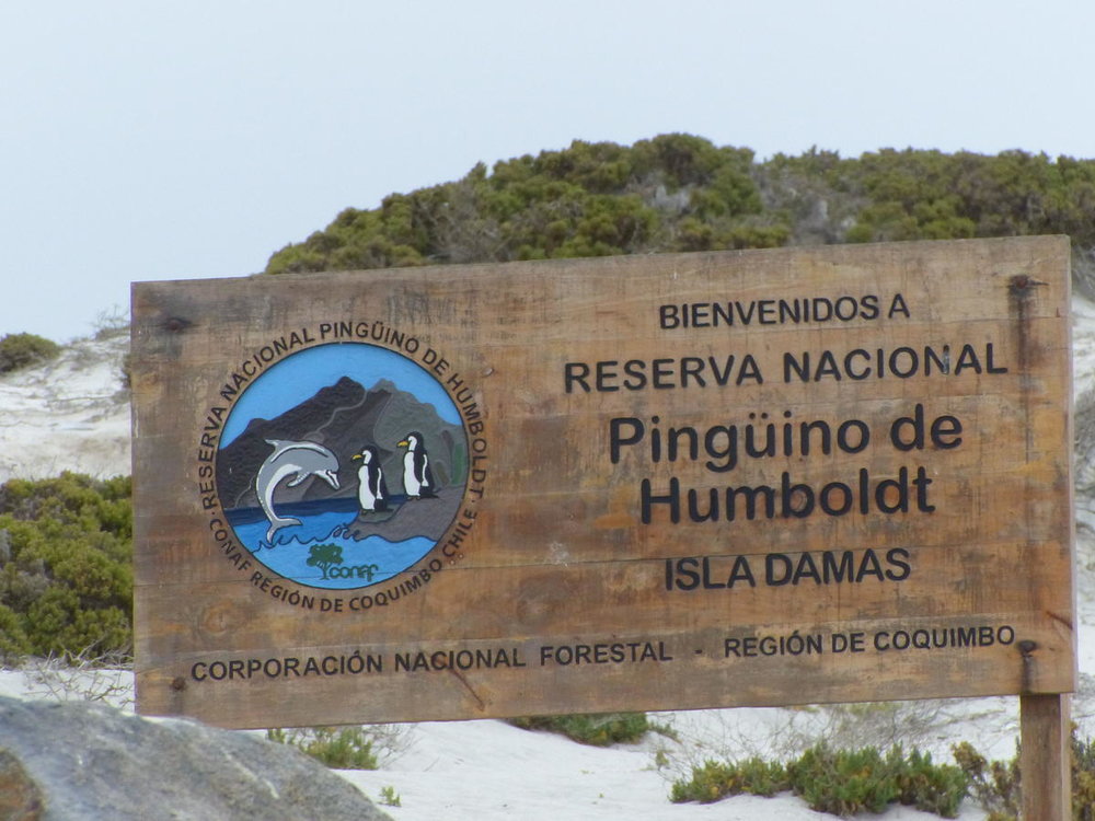 20181028_Reserve_de_Humboldt_47.jpg