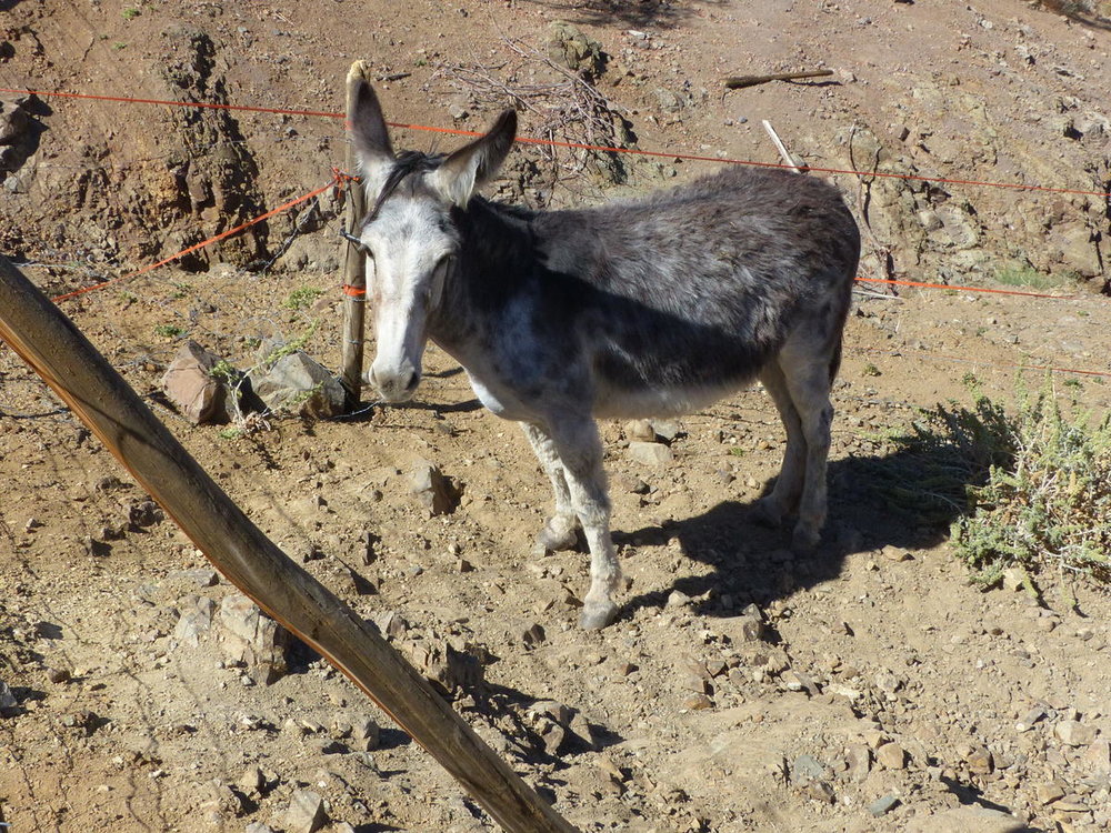 20181108_seconde_ballade_lit_torrent_06.