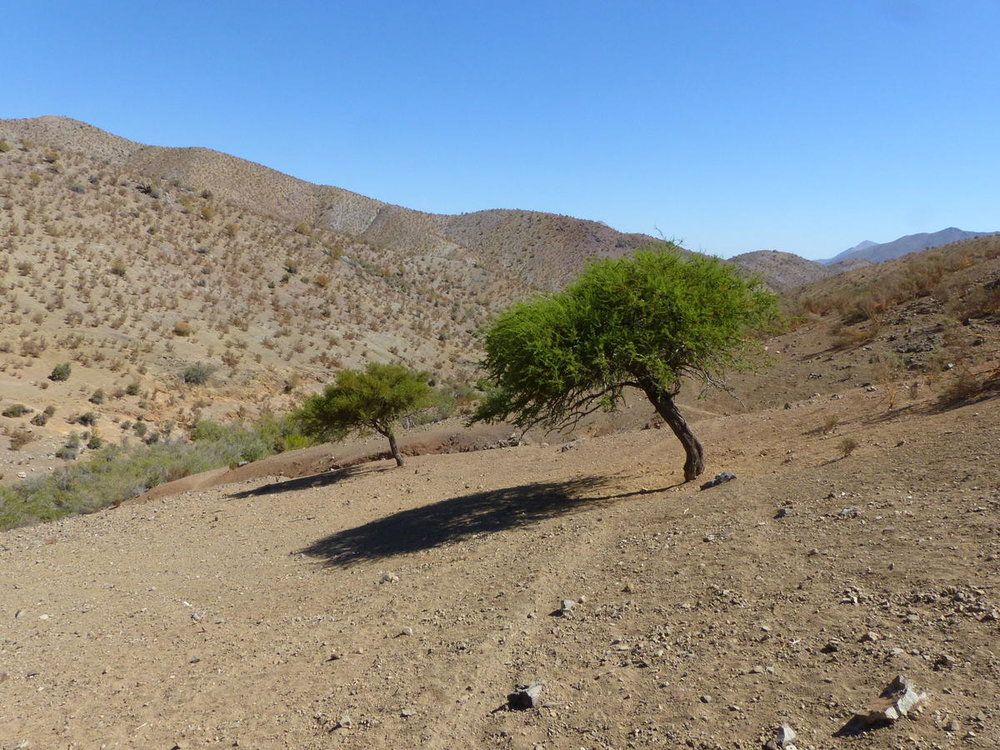 20181108_seconde_ballade_lit_torrent_08.