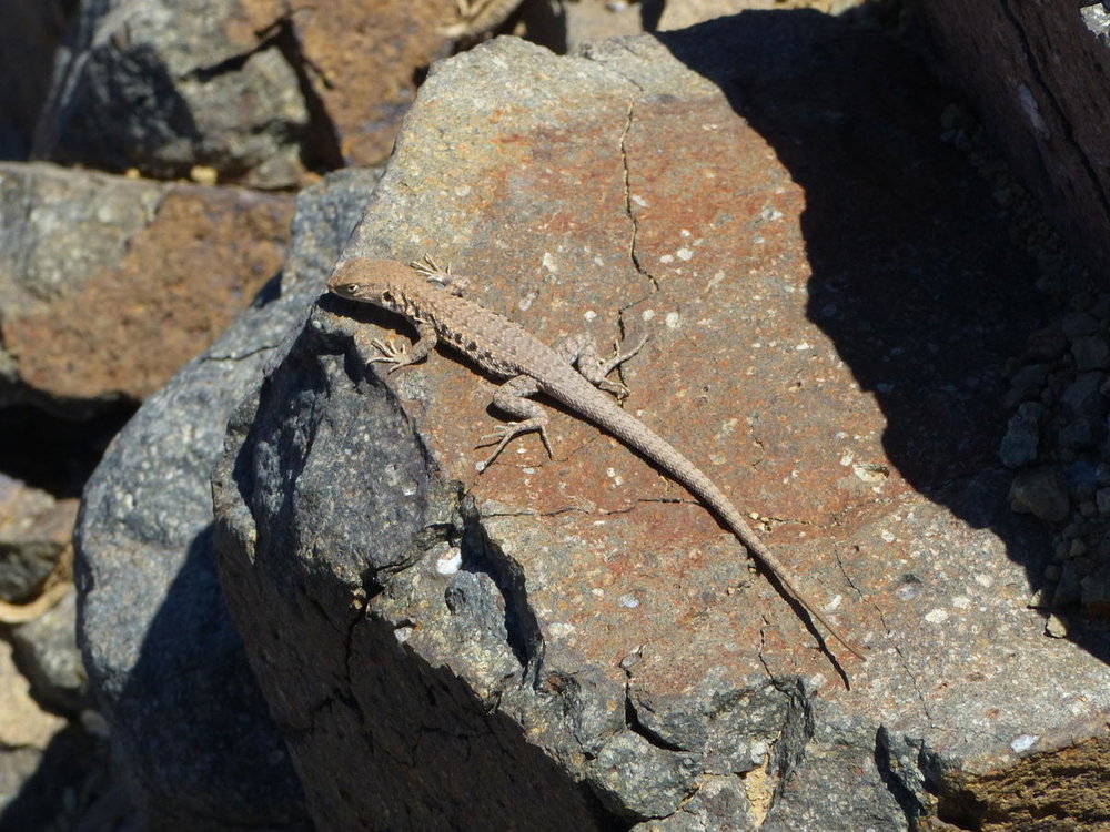 20181108_seconde_ballade_lit_torrent_14.