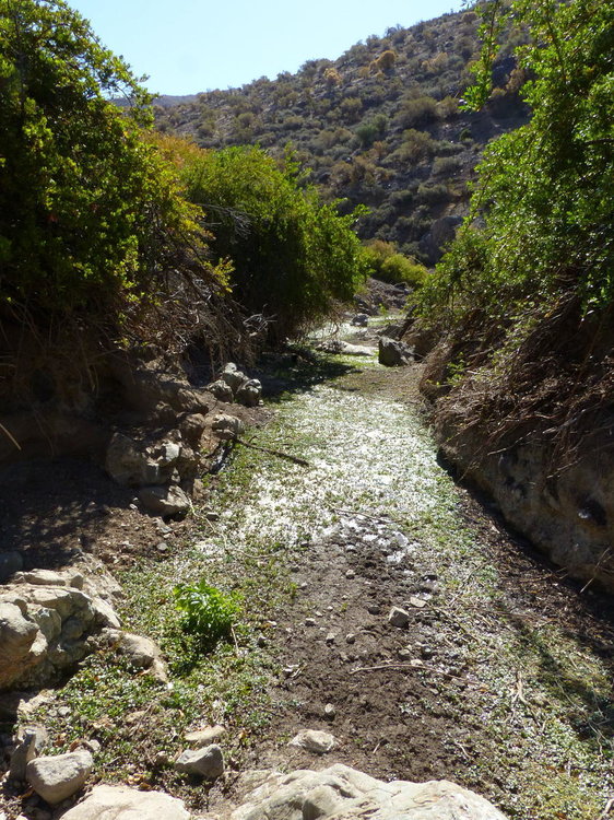 20181108_seconde_ballade_lit_torrent_28.