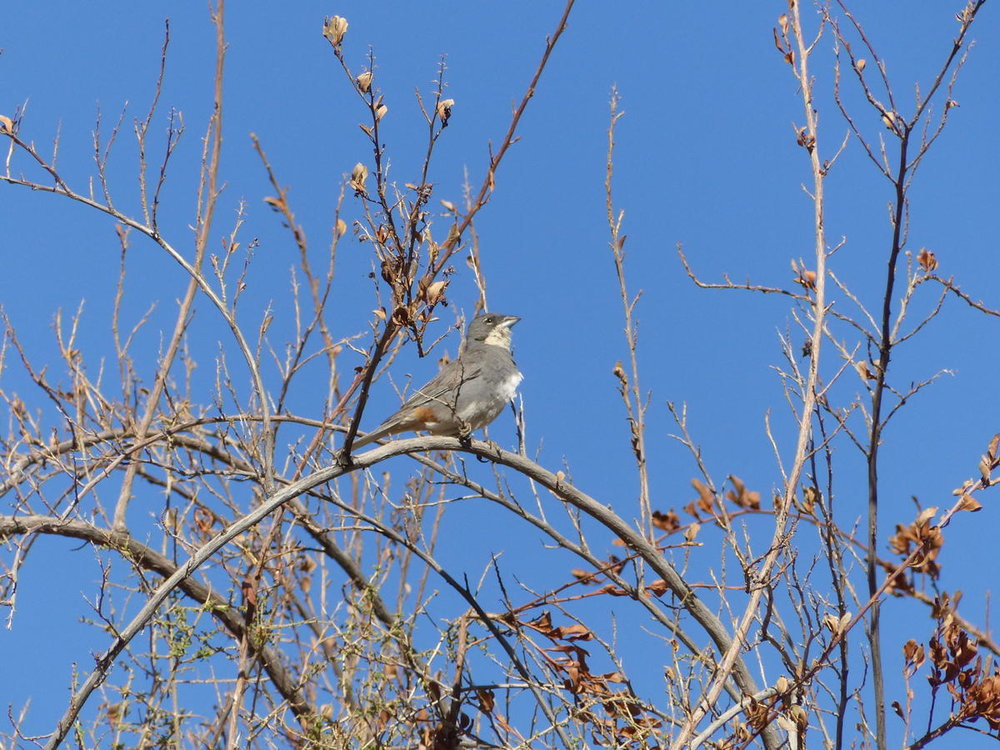 20181108_seconde_ballade_lit_torrent_32.