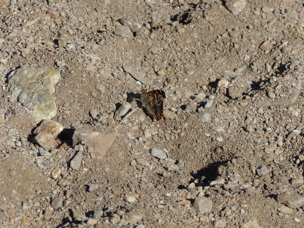 20181108_seconde_ballade_lit_torrent_34.