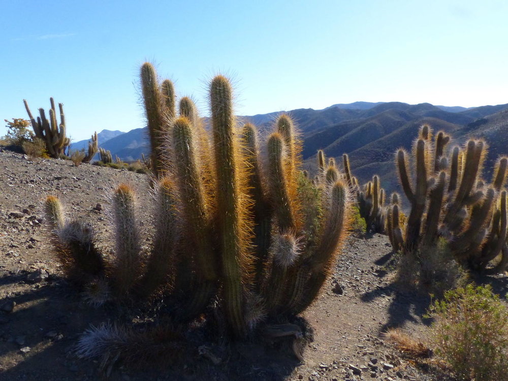 20181110_ballade_colline_relais_Wifi_10.