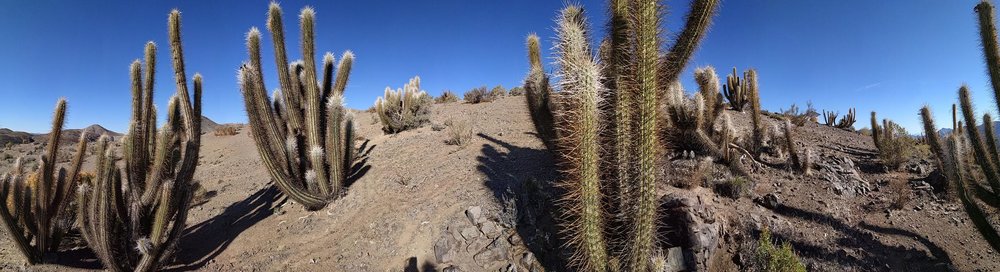 20181110_ballade_colline_relais_Wifi_11.
